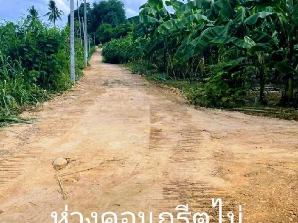 แปลงริมแม่น้ำเพชร4 ที่ดินติดริมแม่น้ำ ทำเลธรรมชาติที่ทุกคนใฝ่หา