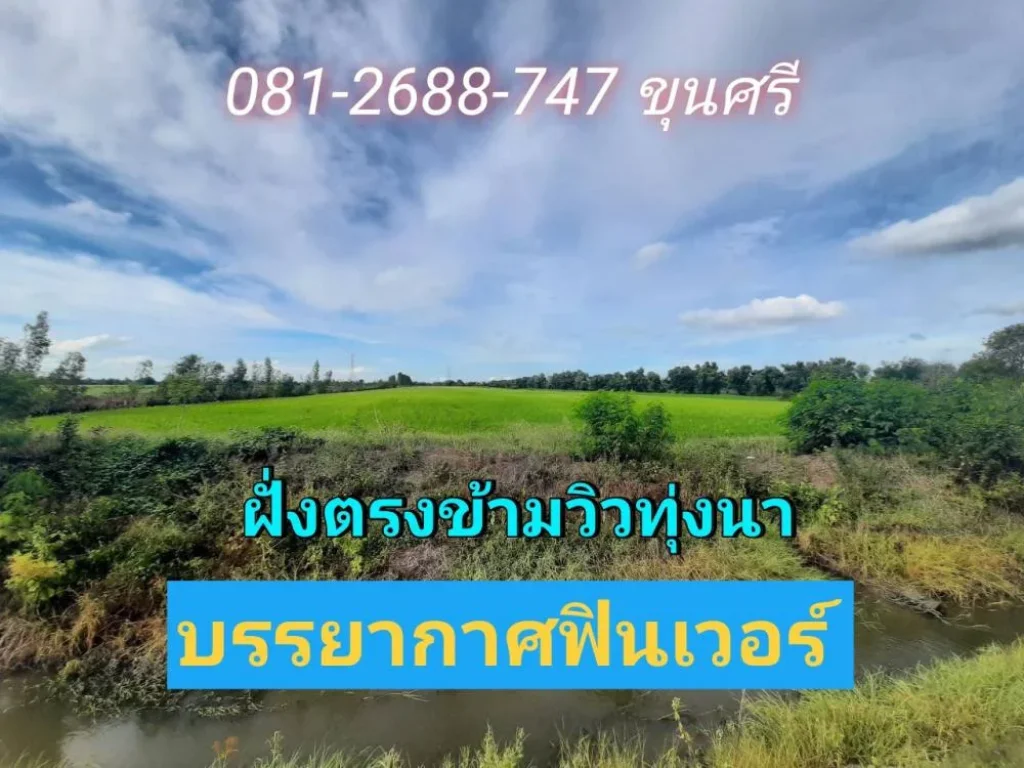 ขายที่ดินลาดหลุมแก้ว 4 ไร่ ติดถนนปท3014 เหมาะสร้างธุรกิจ โกดัง-โรงงาน ตบ่อเงิน จปทุมธานี