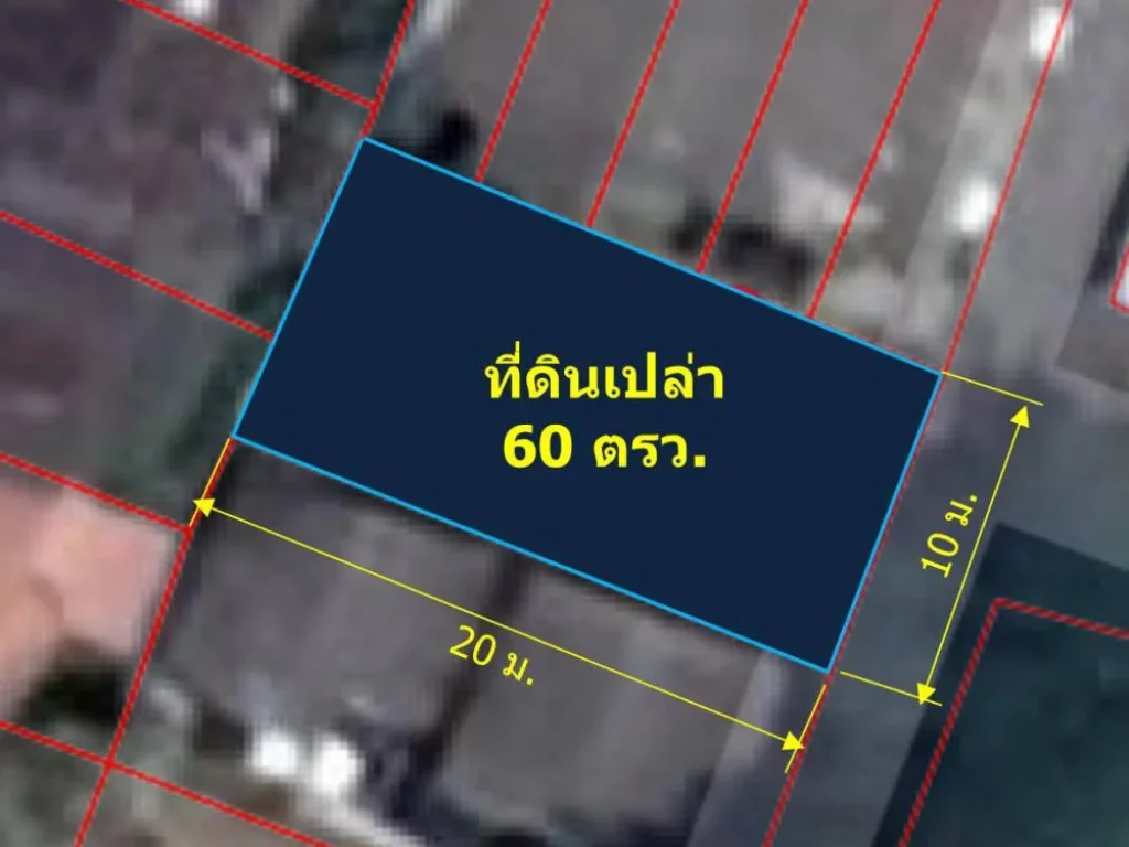 vาeที่ดินเปล่า 60 ตรว ด้านหลังมหาวิทยาลัยเชียงใหม่ ตสุเทพ อเมืองเชียงใหม่ จเชียงใหม่