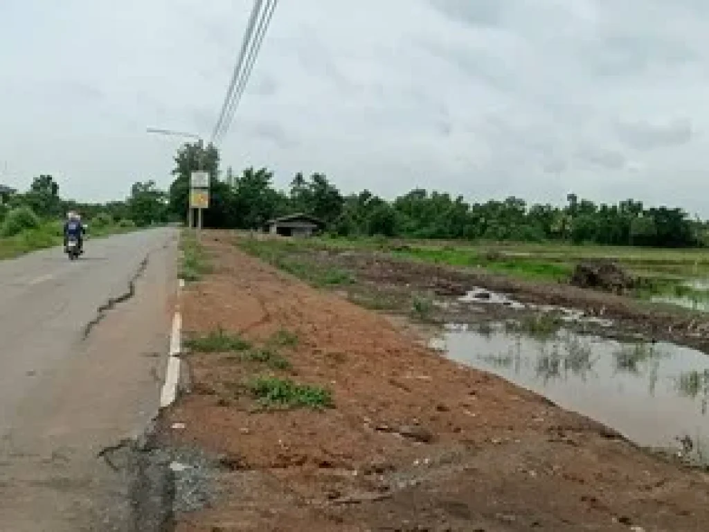 ขายที่ดินถนนเรียบคลองหนองเสือ คลอง 10 ขนาด 131ไร่ เป็นที่นา เหมาะทำการเกษตร ทำจัดสรร ทำเลดีใกล้อำเภอ