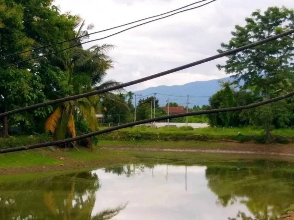 ขายที่ดิน วิวภูเขาสวยด้านหน้า ทุ่งนาด้านหลัง ตสันทรายหลวง เชียงใหม่