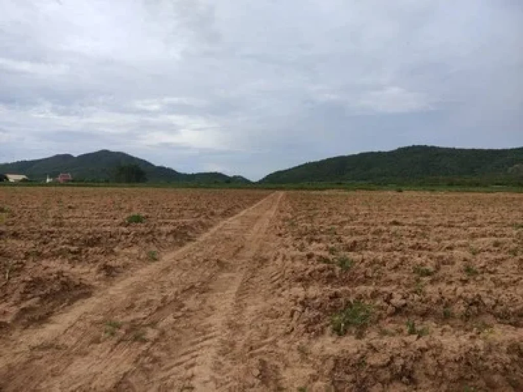 ขายที่ดิน กาญจนบุรี 100 ไร่ ติดถนนลาดยาง เหมาะทำการเกษตร ใกล้แหล่งน้ำ