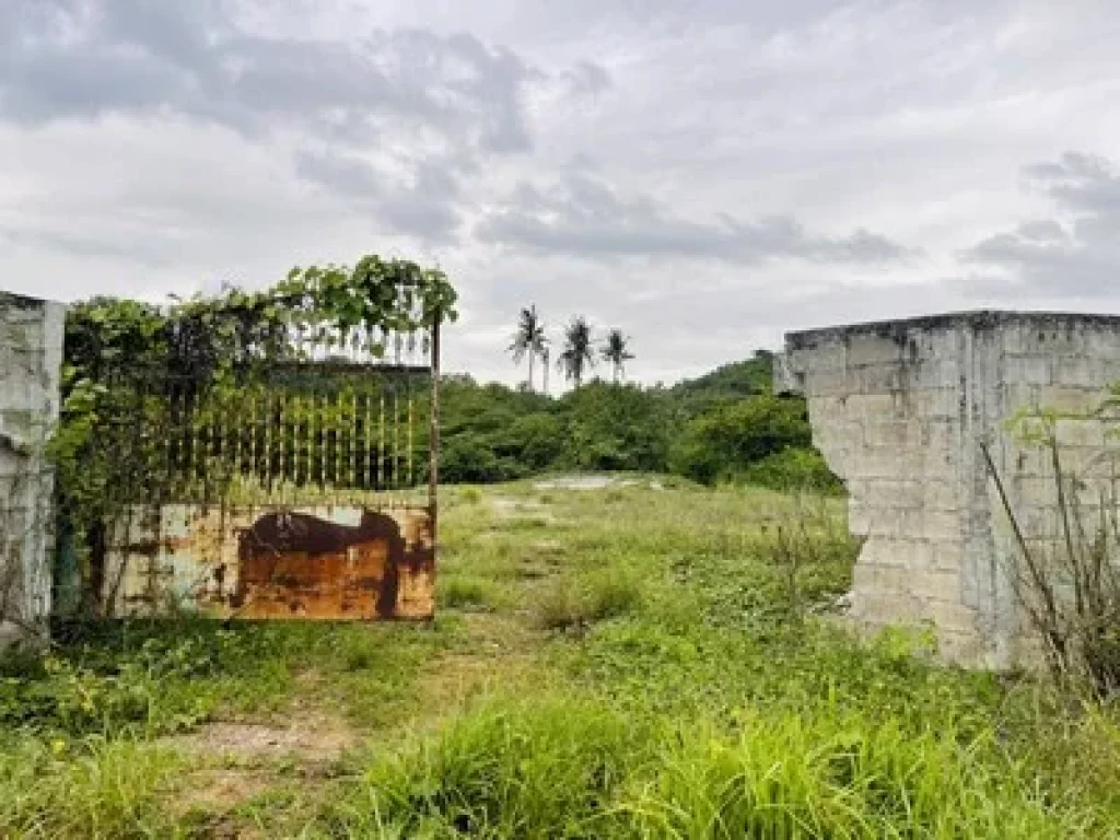 ขายที่ดินในตัวเมืองกาญจนบุรี 4 ไร่ ติดถนนลาดยาง ใกล้แหล่งชุมชน เหมาะปลูกบ้าน