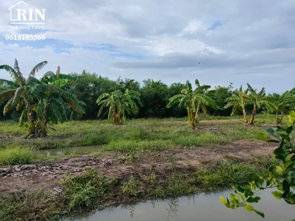 บ้านหลังใหญ่พร้อมที่ดินสวนมะนาว จำนวน25ไร่ มีเรือนพักคนงาน จำนวน6ห้อง สวนแบ่งเป็นสวนผสม กล้วย มะนาว