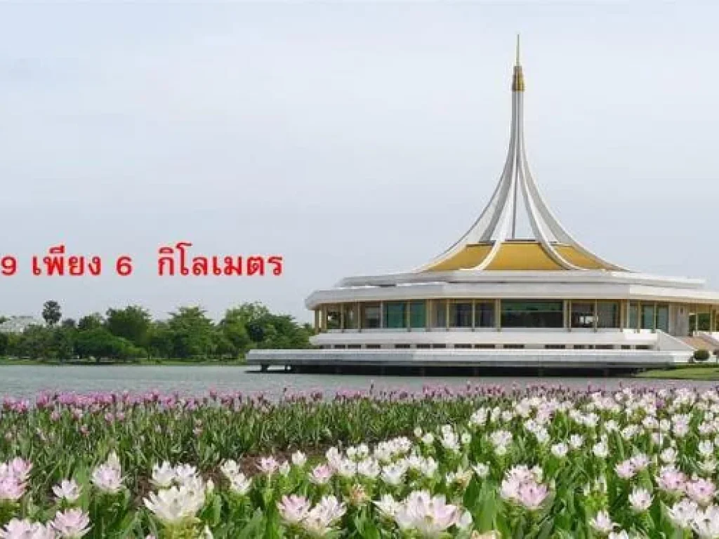 ที่ดินแถมสิ่งปลูกสร้างพื้นที่ 54 ตรว ซอยเฉลิมพระเกียรติ ร 9 ซ14 ถเฉลิมพระเกียรติ ประเวศ ทำเลดี