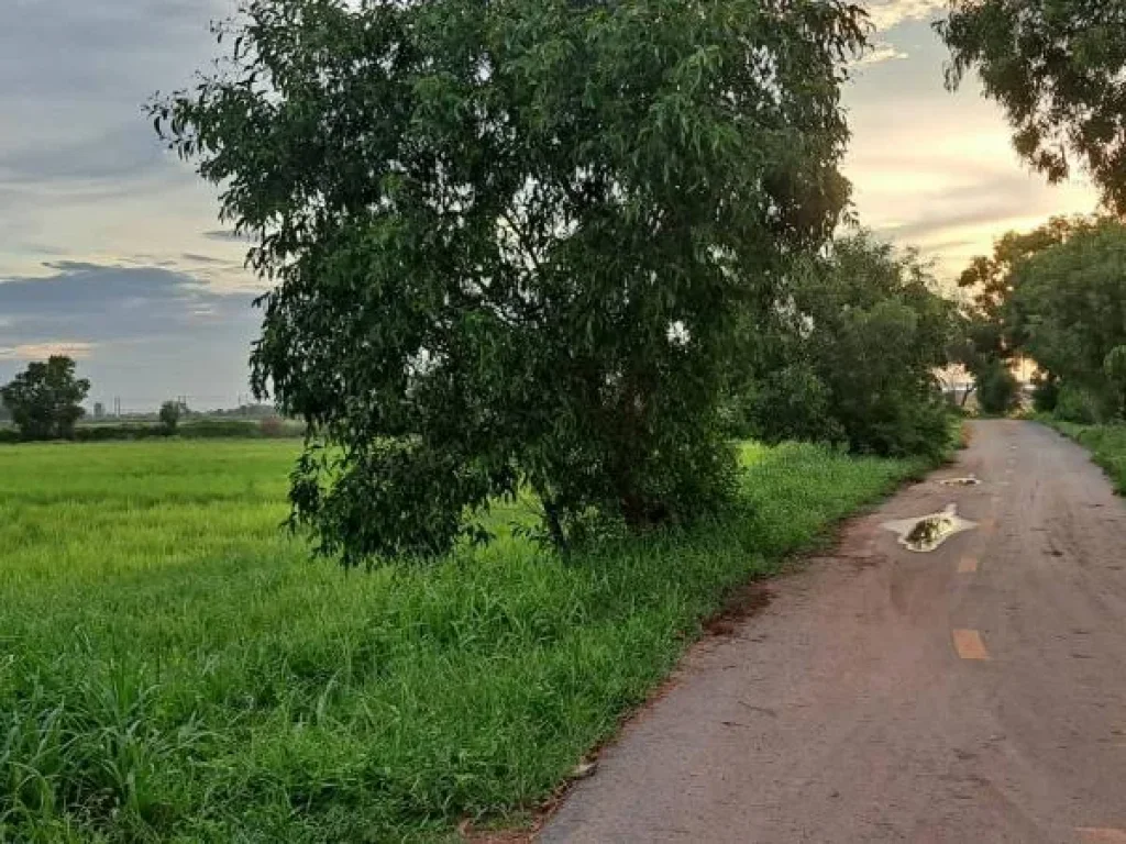 ที่ดินปราจีนบุรีเหมาะพัฒนาเป็นบ้านสวนกลางทุ่ง รีสอร์ท ศูนย์เรียนรู้ทางเกษตร 12 ไร่ 3 งาน 33 ตารางวา