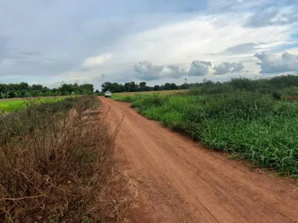 ที่ดินปราจีนบุรีเหมาะพัฒนาเป็นบ้านสวนกลางทุ่ง รีสอร์ท ศูนย์เรียนรู้ทางเกษตร 12 ไร่ 3 งาน 33 ตารางวา