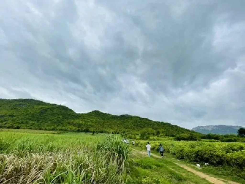 ขายที่ดินติดแม่น้ำ แควใหญ่ กาญจนบุรี 21 ไร่ รอบๆเห็นวิวภูเขา เหมาะสร้างบ้าน ทำรีสอร์ท ซื้อเก็บไว้