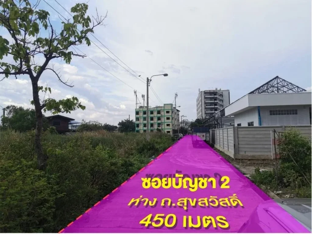 ขายที่ดิน 2ไร่ 3งาน ผังสีม่วง ราคาถูก ย่านประชาอุทิศ พระสมุทรเจดีย์ ถนนสุขสวัสดิ์ สมุทรปราการ