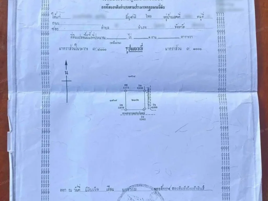 ขายที่ดินเปล่า 100 ตรว บ้านดู่ เชียงราย