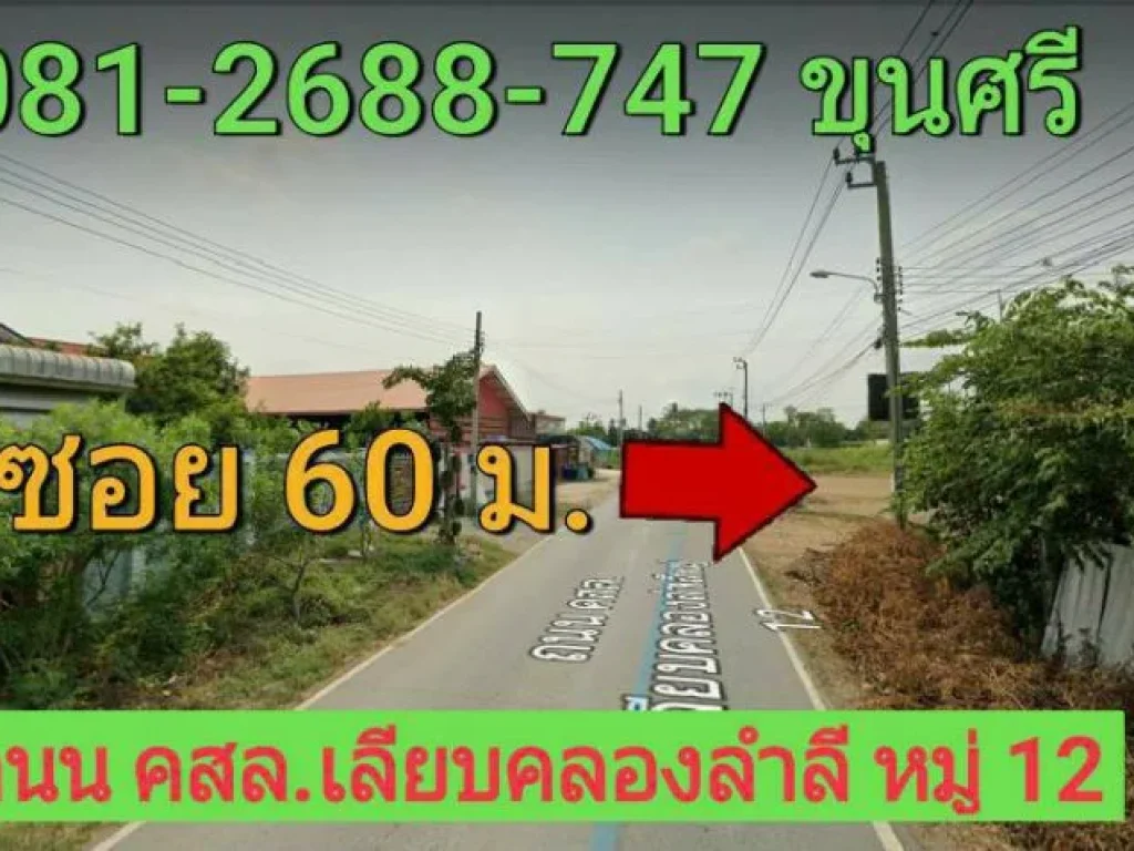 ขายที่ดินต่ำกว่าราคาตลาด 220 ตารางวา ถนน เลียบคลองลำลี หมู่ 12 อำเภอบางบัวทอง จังหวัด นนทบุรี