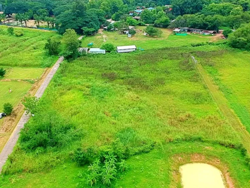 ขายที่ดินตำบลป่าไผ่ อำเภอสันทราย จังหวัดเชียงใหม่