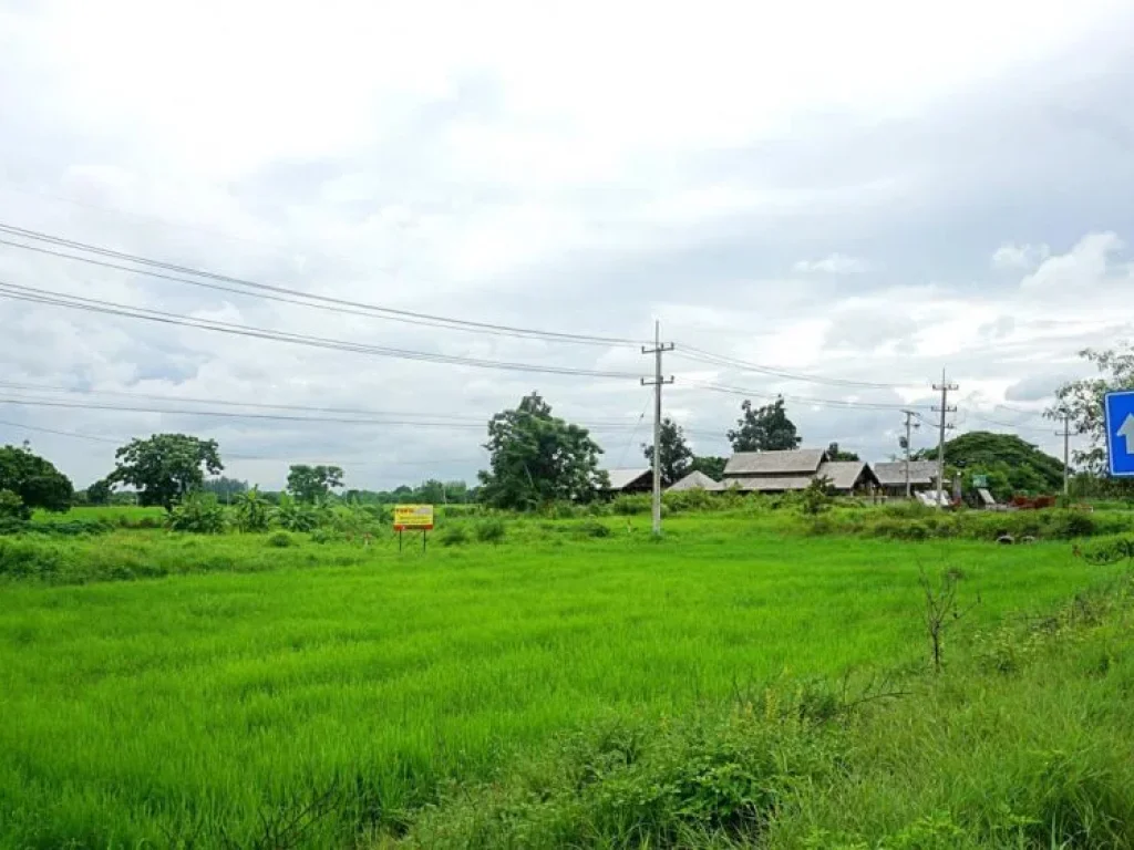 ขายที่ดินติดถนนสันกำแพงสายใหม่ ตำบลบวกค้าง อำเภอสันกำแพง จังหวัดเชียงใหม่