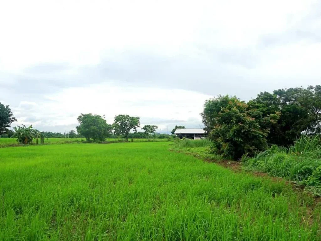 ขายที่ดินติดถนนสันกำแพงสายใหม่ ตำบลบวกค้าง อำเภอสันกำแพง จังหวัดเชียงใหม่