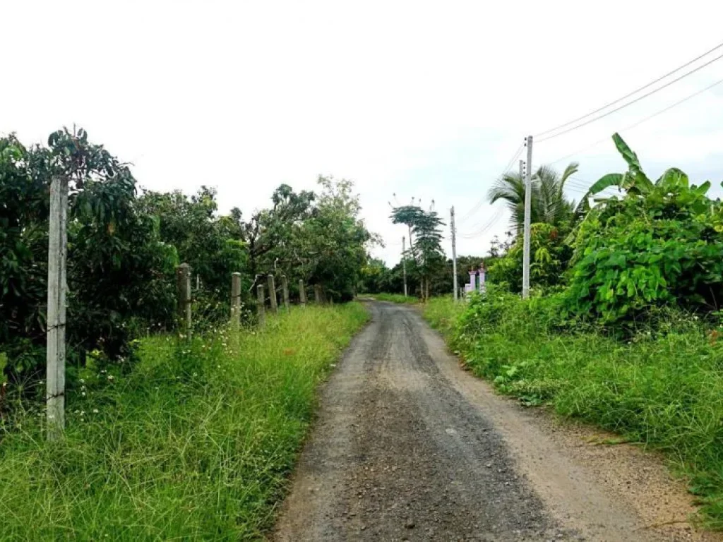 ขายที่ดิน ตำบลบ้านแม อำเภอสันป่าตอง จังหวัดเชียงใหม่