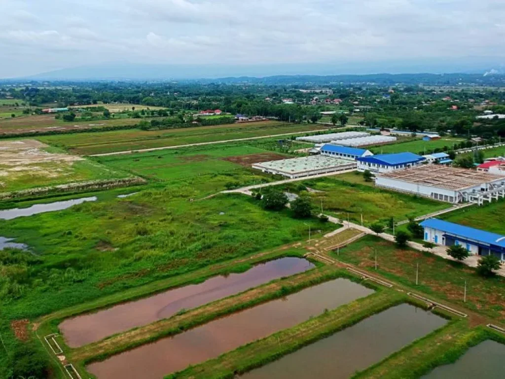 ขายที่ดิน ติดถนนเชียงใหม่ - พร้าว ตำบลแม่แฝก อำเภอสันทราย จังหวัดเชียงใหม่