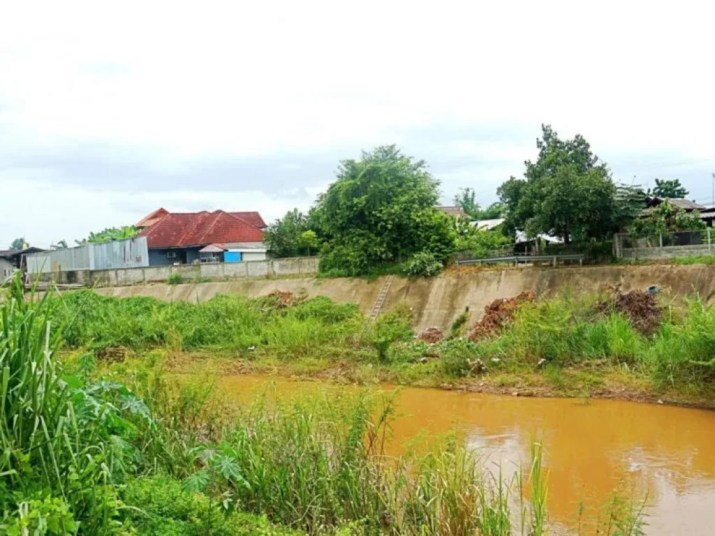 ขายที่ดินบ้านทุ่งหลุก ตำบลท่าวังพร้าว อำเภอสันป่าตอง จังหวัดเชียงใหม่