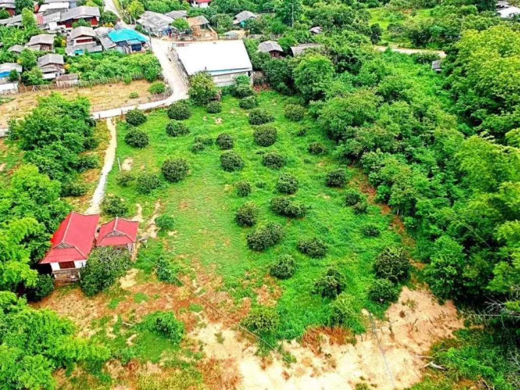 ขายที่ดินบ้านทุ่งหลุก ตำบลท่าวังพร้าว อำเภอสันป่าตอง จังหวัดเชียงใหม่