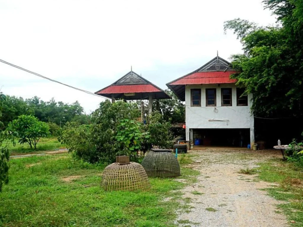 ขายที่ดินบ้านทุ่งหลุก ตำบลท่าวังพร้าว อำเภอสันป่าตอง จังหวัดเชียงใหม่