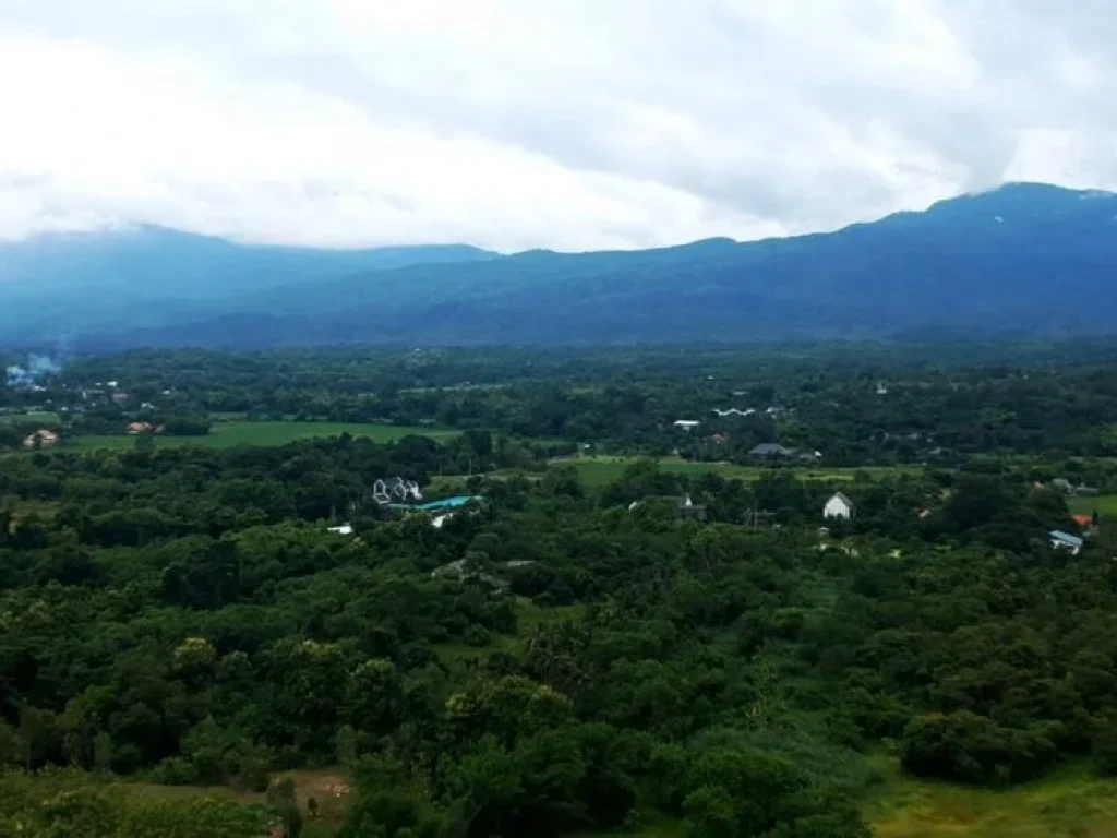 ขายที่ดิน ตำบลห้วยทราย อำเภอแม่ริม จังหวัดเชียงใหม่