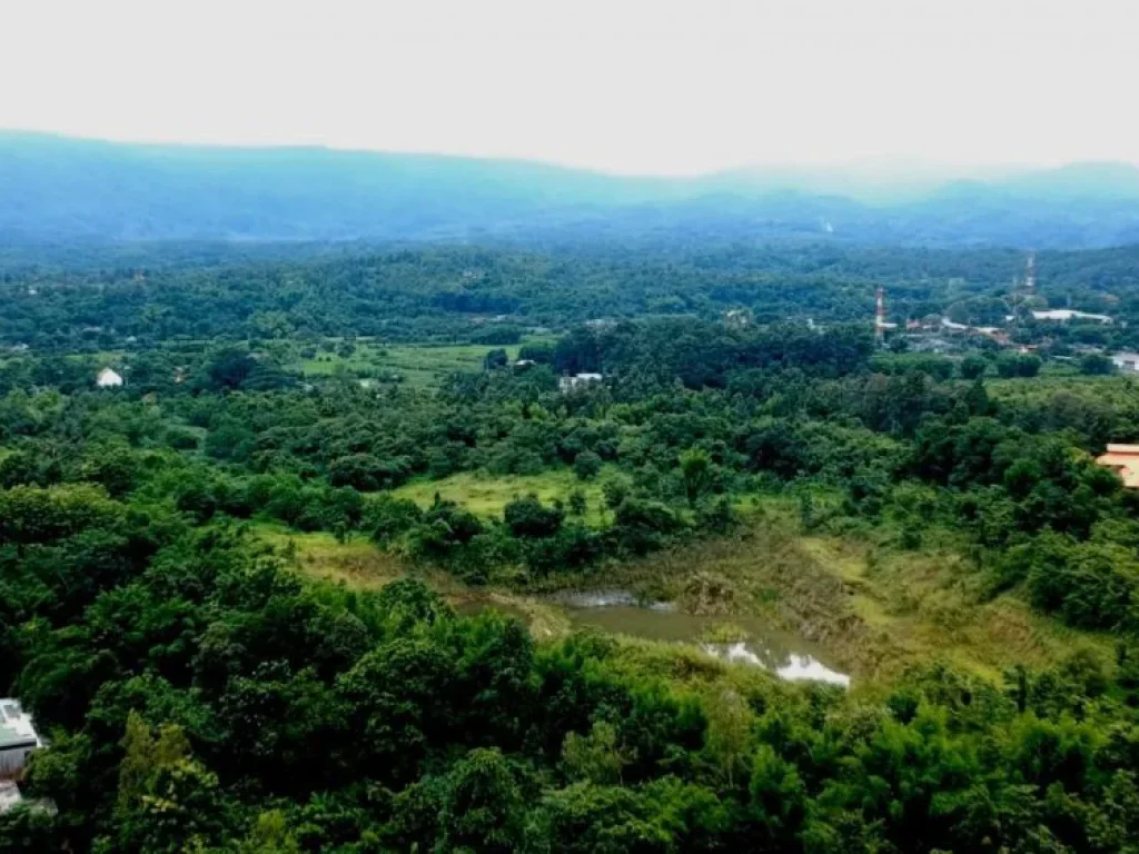 ขายที่ดิน ตำบลห้วยทราย อำเภอแม่ริม จังหวัดเชียงใหม่