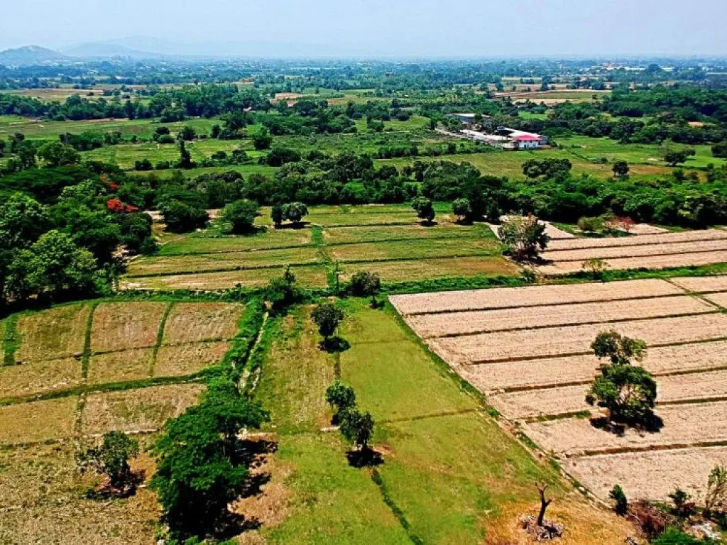 ขายที่ดินสวนเกษตรสันทราย ตำบลหนองแหย่ง อำเภอสันทราย จังหวัดเชียงใหม่