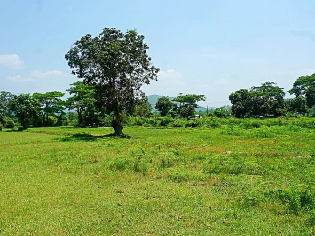 ขายที่ดินสวนเกษตรสันทราย ตำบลหนองแหย่ง อำเภอสันทราย จังหวัดเชียงใหม่