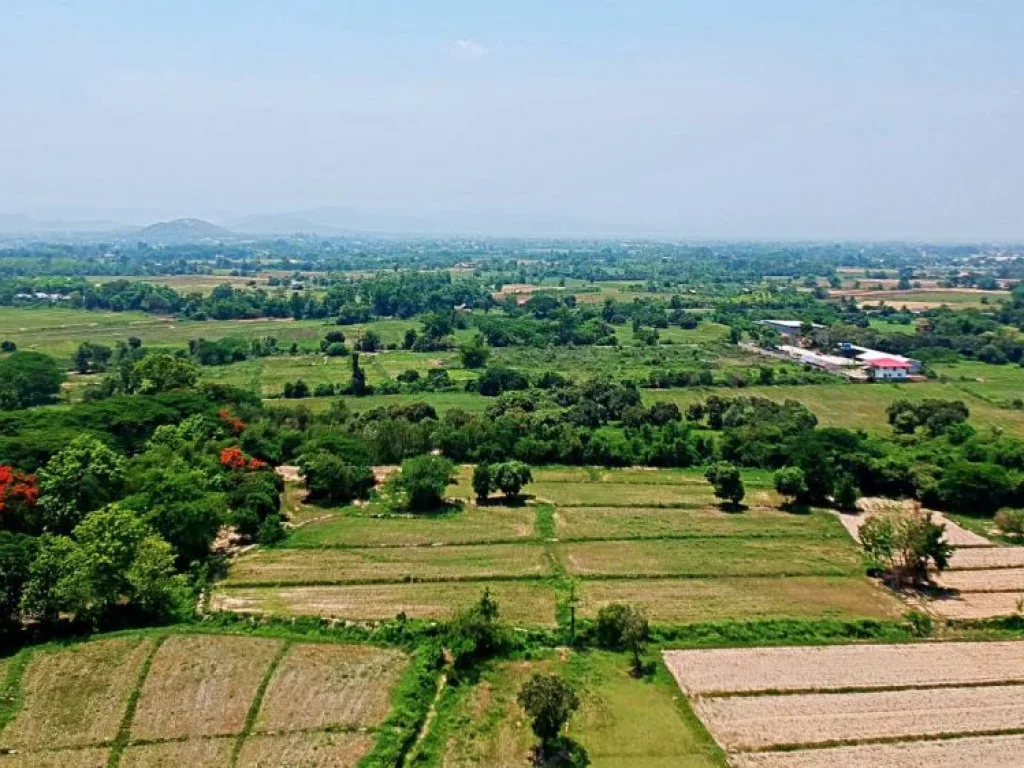 ขายที่ดินสวนเกษตรสันทราย ตำบลหนองแหย่ง อำเภอสันทราย จังหวัดเชียงใหม่