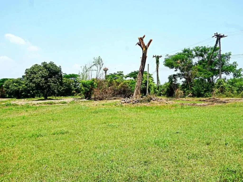 ขายที่ดินสวนเกษตรสันทราย ตำบลหนองแหย่ง อำเภอสันทราย จังหวัดเชียงใหม่