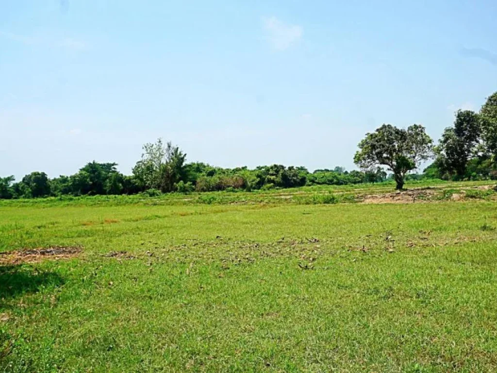 ขายที่ดินสวนเกษตรสันทราย ตำบลหนองแหย่ง อำเภอสันทราย จังหวัดเชียงใหม่