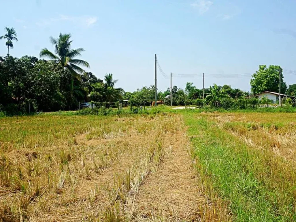 ขายที่ดิน ตำบลเมืองเล็น อำเภอสันทราย จังหวัดเชียงใหม่