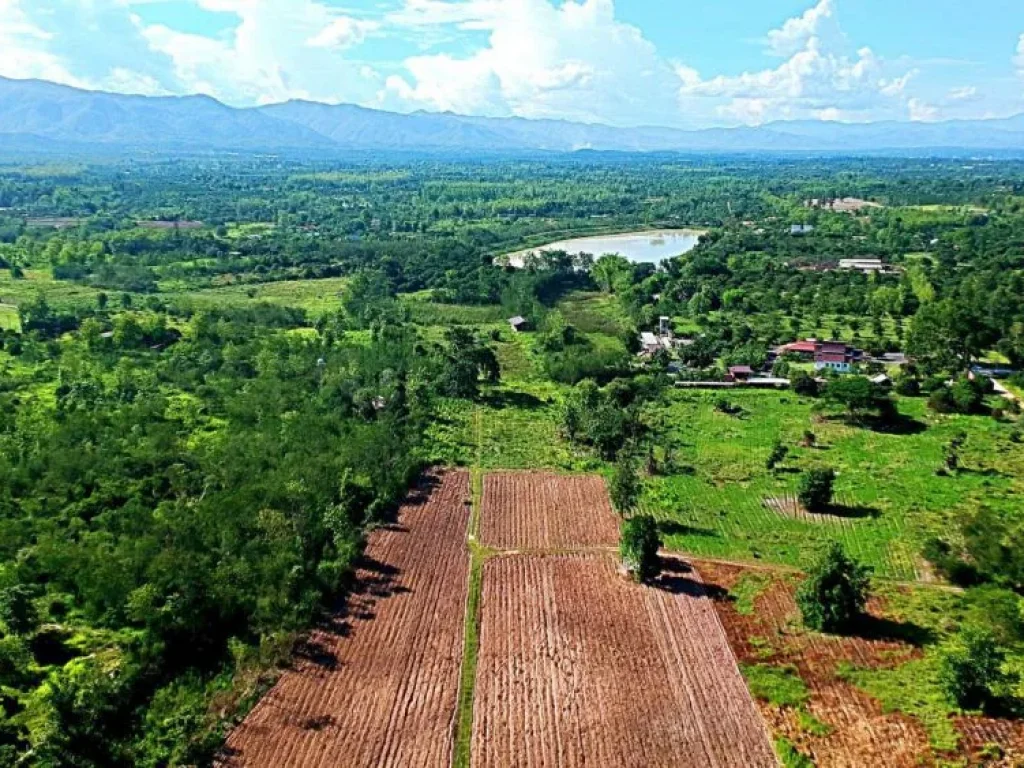 ขายที่ดิน สันติสุข อำเภอดอยหล่อ จังหวัดเชียงใหม่