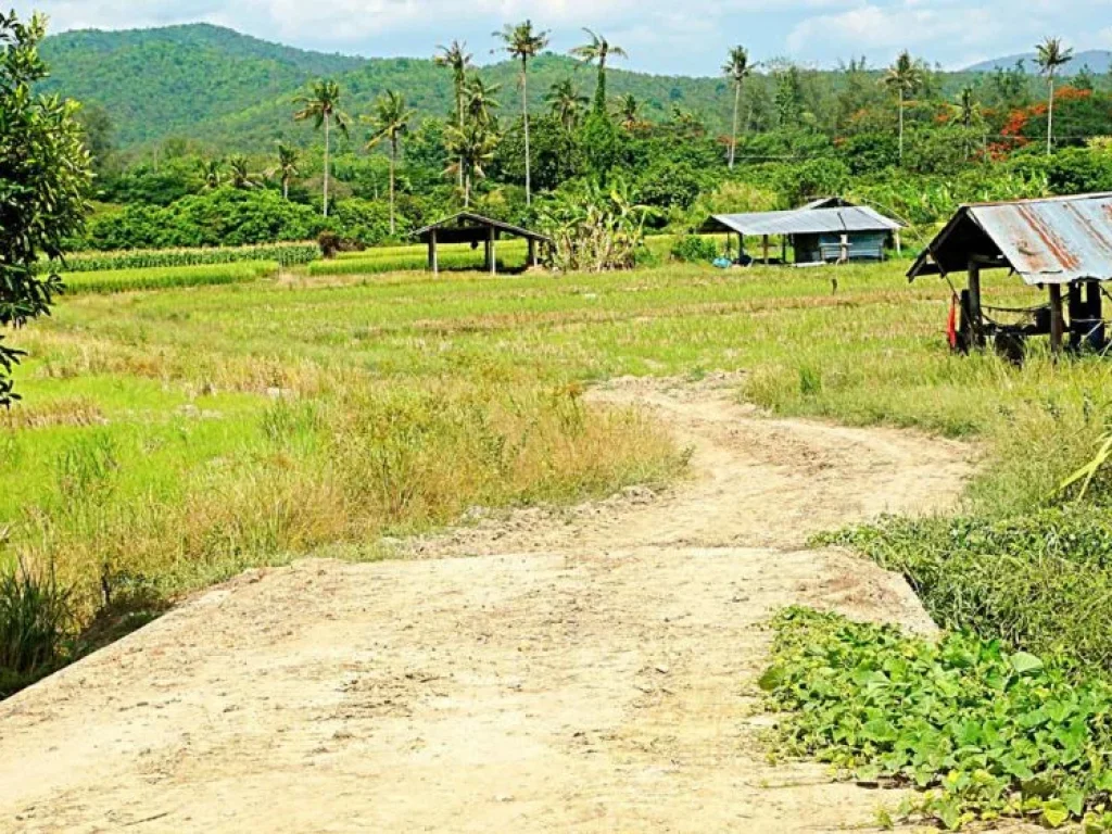 ขายที่ดินแม่แฝก สันทราย จังหวัดเชียงใหม่