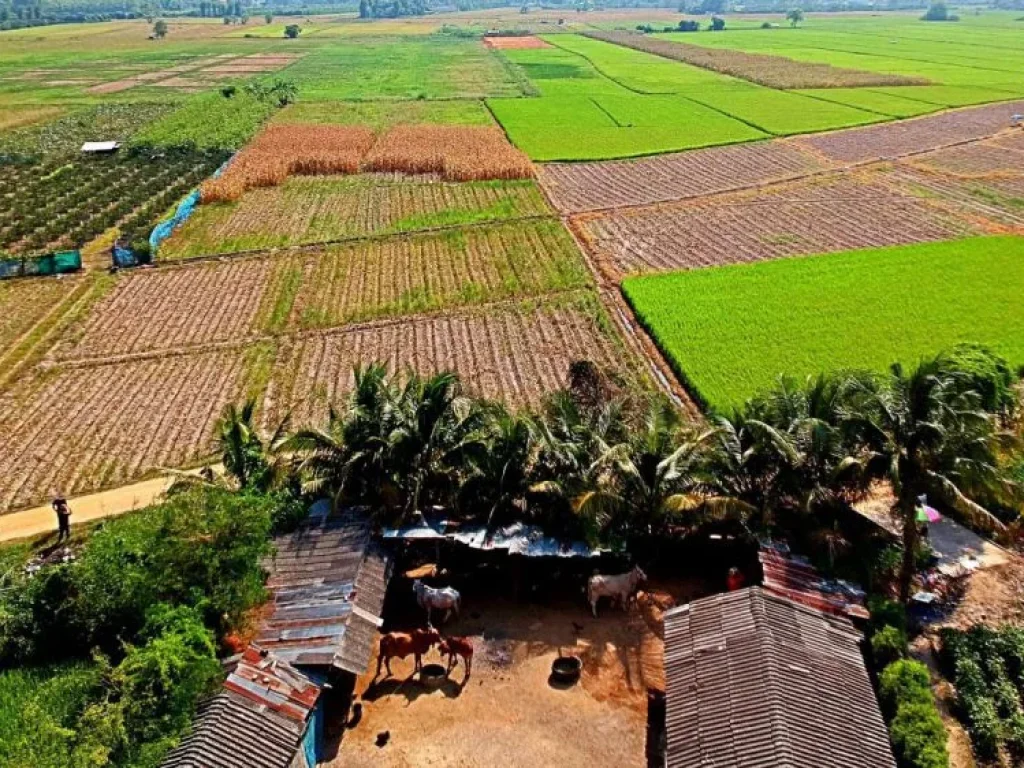 ขายที่นาที่ไร่ ตำบลแม่แฝก อำเภอสันทราย จังหวัดเชียงใหม่