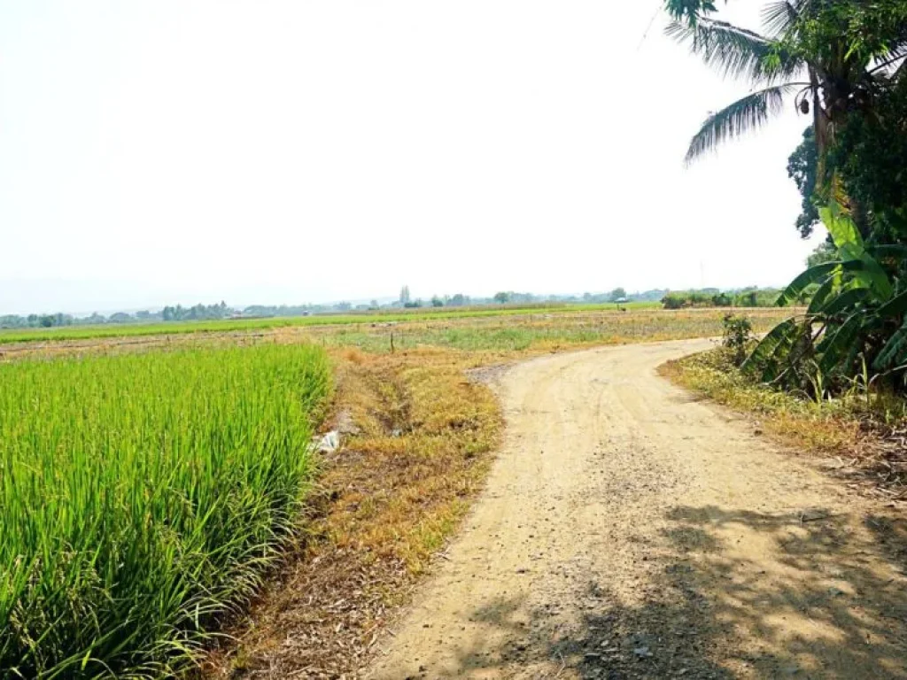 ขายที่นาที่ไร่ ตำบลแม่แฝก อำเภอสันทราย จังหวัดเชียงใหม่