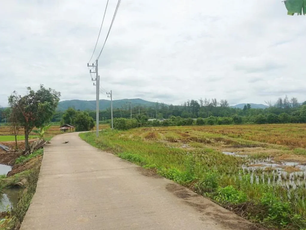 ขายที่ดิน แม่แฝก อำเภอสันทราย จังหวัดเชียงใหม่ ติดถนนคอนกรีต