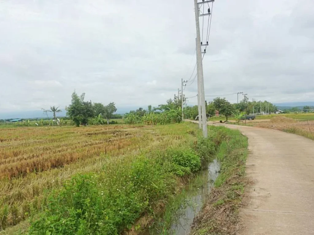 ขายที่ดิน แม่แฝก อำเภอสันทราย จังหวัดเชียงใหม่ ติดถนนคอนกรีต