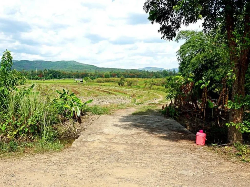 ขายที่ดินราคาถูก ตำบลแม่แฝก อำเภอสันทราย จังหวัดเชียงใหม่