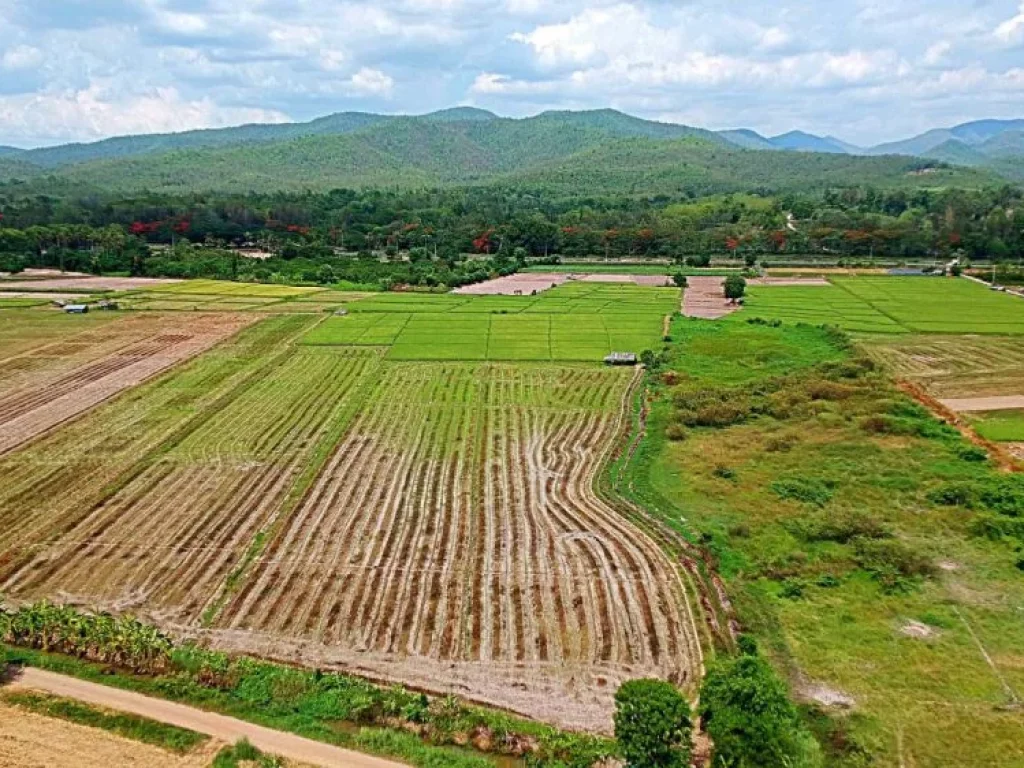 ขายที่ดินราคาถูก ตำบลแม่แฝก อำเภอสันทราย จังหวัดเชียงใหม่