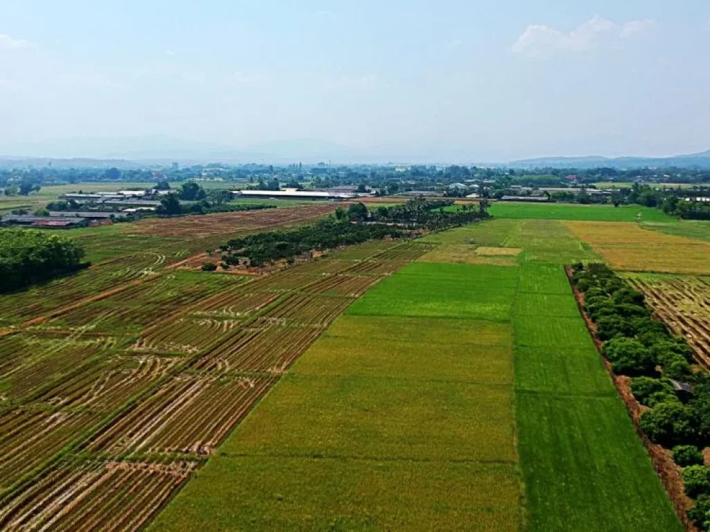 ขายที่นา ตำบลแม่แฝก อำเภอสันทราย จังหวัดเชียงใหม่