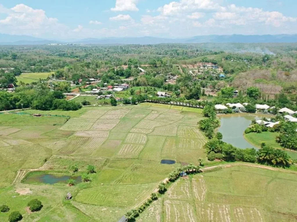 ขายที่ดินเนินเขา วิวดอย ทิวทัศน์ทุ่งนา ตำบลสะลวง อำเภอแม่ริม จังหวัดเชียงใหม่