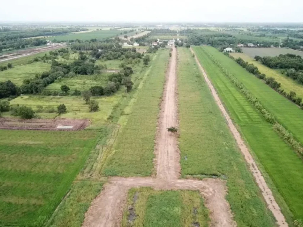 ขายที่ดินจัดสรรปทุมธานี หนองเสือ คลอง10 ตำบลบึงบาใต้ อำเภอหนองเสือ ปทุมธานี 200 ตรว