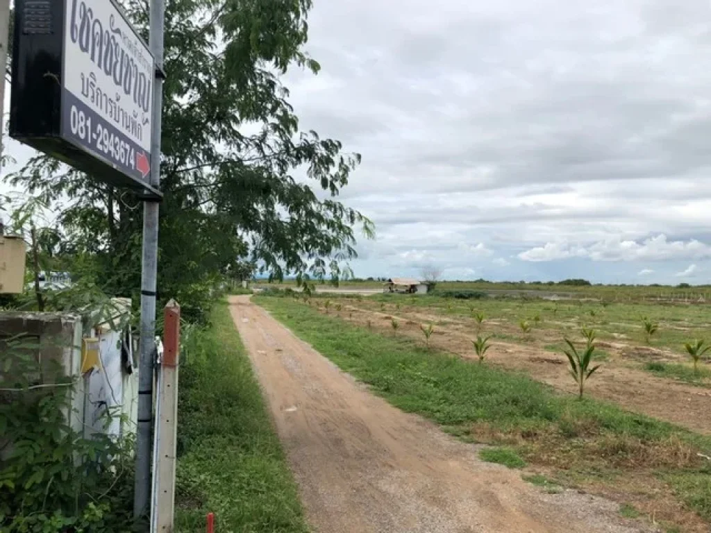 ขายที่ดินสวย 3-3-60ไร่ ใกล้หาดเจ้าสำราญ ถหาดเจ้าสำราญ 3 เมืองเพชรบุรี