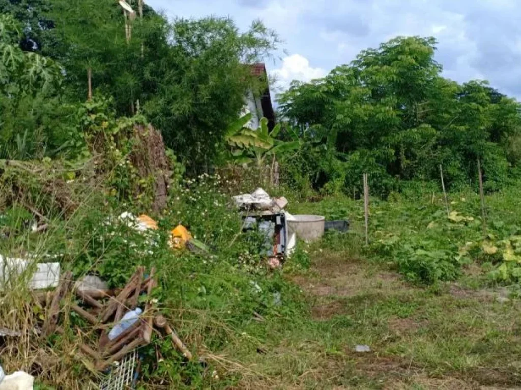 ขายที่ดินปรับหน้าดินเรียบร้อยสันพระเนตร ราคาถูก