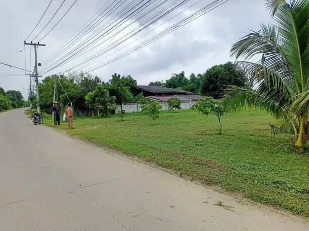 ขายที่ดินติดถนนลาดยางดอนแก้วสารภี ราคาถูก