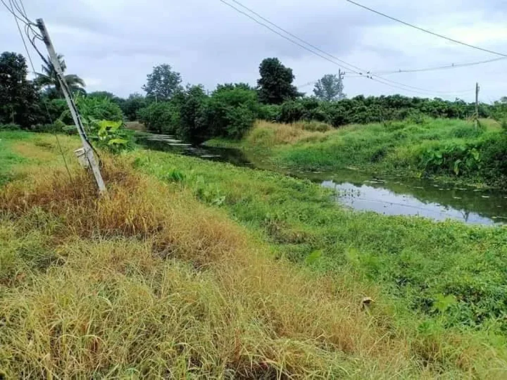 ขายที่ดินติดถนนลาดยางดอนแก้วสารภี ราคาถูก