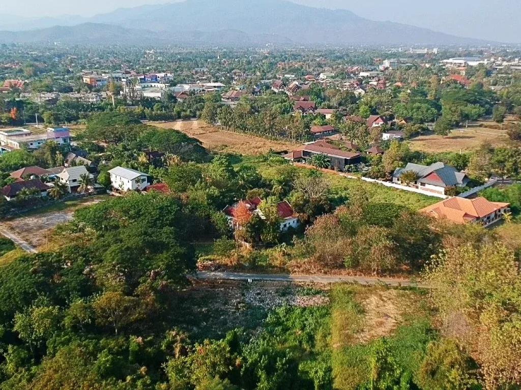 ขายที่ดิน 241 ตรว ติดกาดฝรั่ง ในโครงการธารดง เชียงใหม่