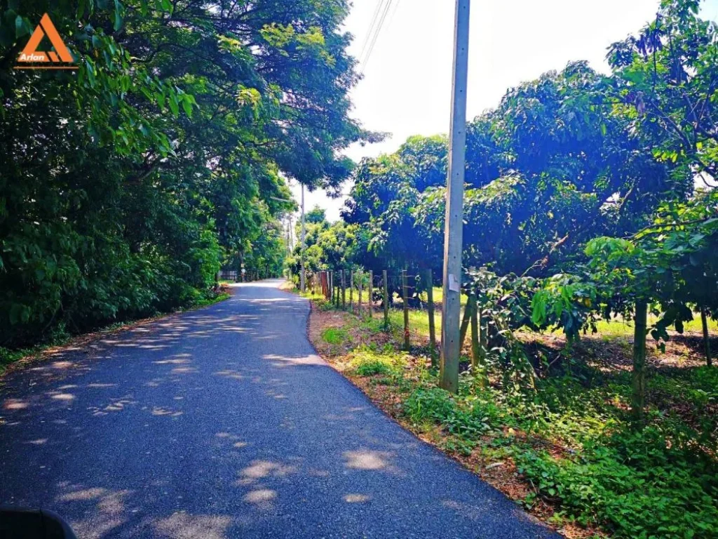 ขายที่ดิน บ้านกลาง ตำบลท่าวังตาล อำเภอสารภี จังหวัดเชียงใหม่