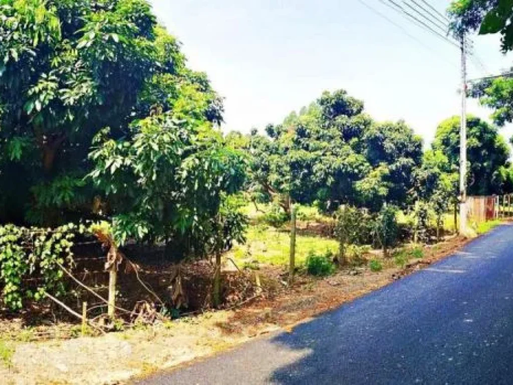 ขายที่ดิน บ้านกลาง ตำบลท่าวังตาล อำเภอสารภี จังหวัดเชียงใหม่