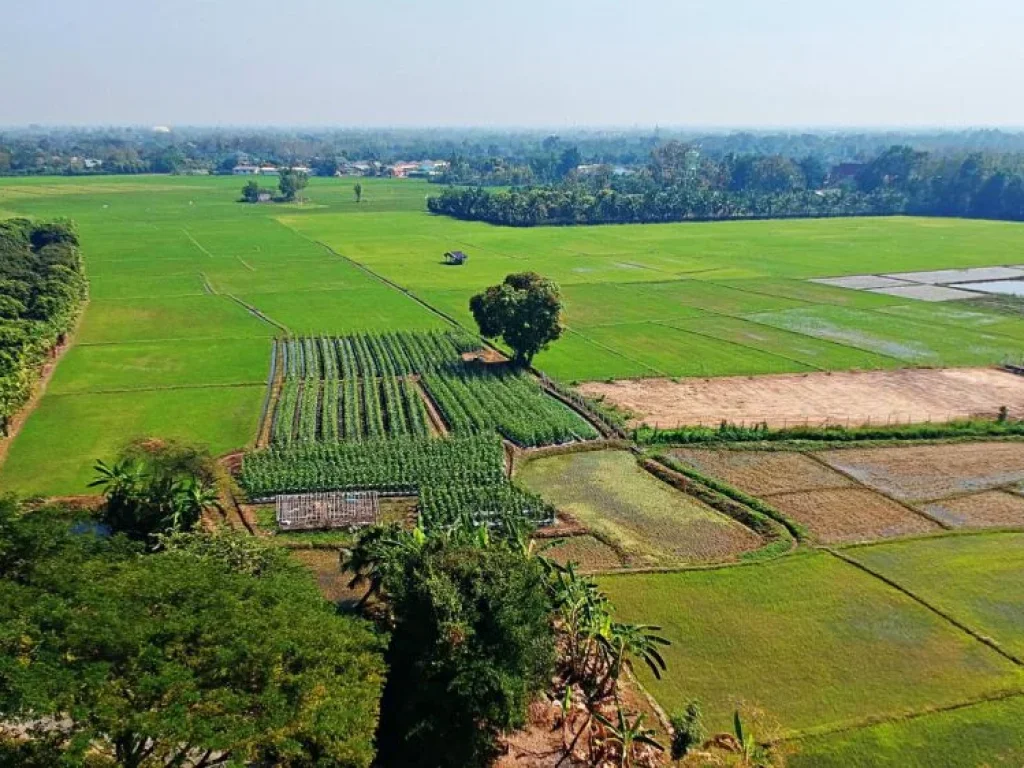 ขายที่ดิน ตำบลน้ำแพร่ อำเภอหางดง จังหวัดเชียงใหม่